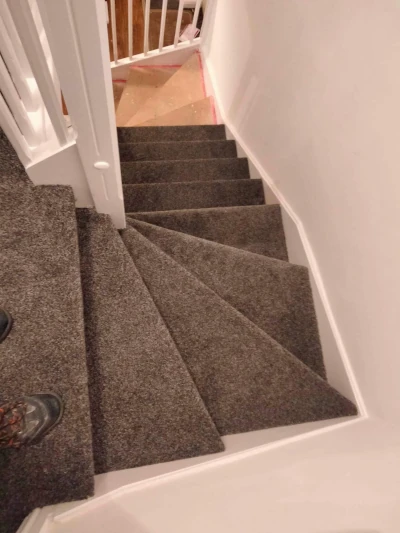 Painting & carpeting